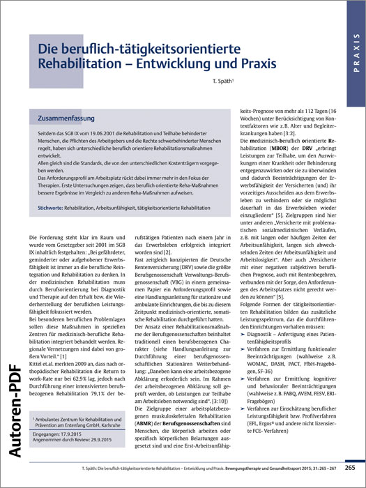 Die beruflich-tätigkeitsorientierte Rehabilitation – Entwicklung und Praxis