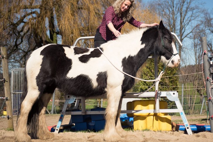 Therapeutisches Reiten
