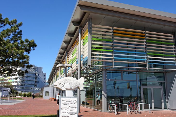 Ambulante Angebote des Gesundheitszentrums Damp