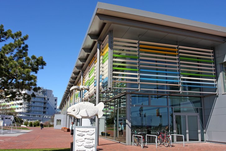 Hier finden Sie zurück zu alter Stärke