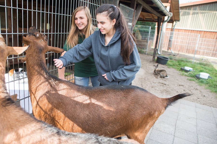 Tiere in der Helios Klinik Hohenstücken