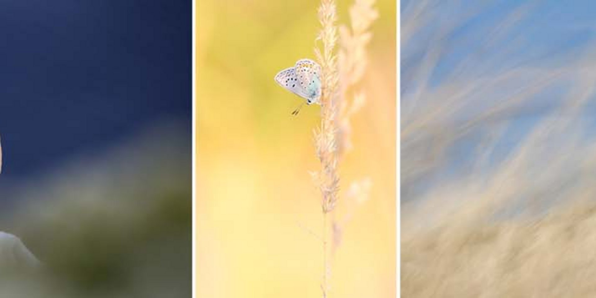 Einladung zur Vernissage: Naturaufnahmen in der HELIOS Klinik Bergisch-Land