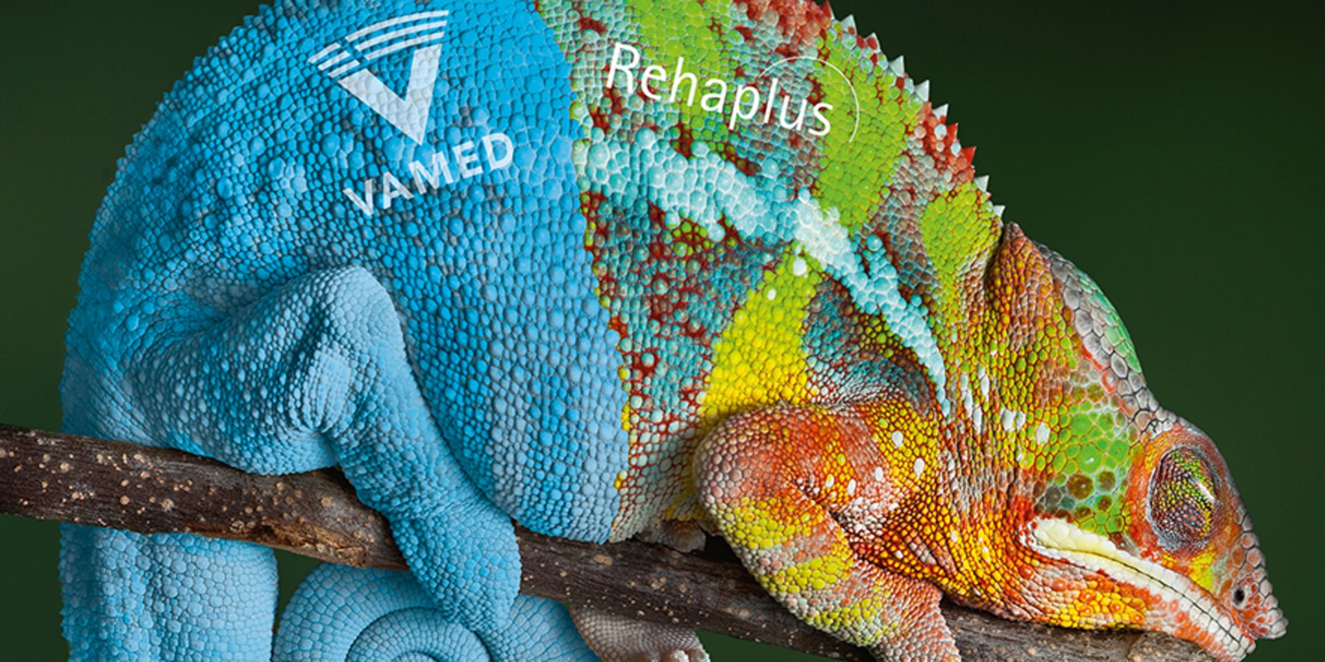 Neuer Name und neues Erscheinungsbild