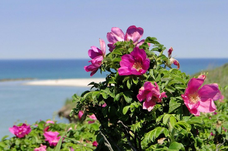 Unser Sozialdienst und psychologischer Dienst