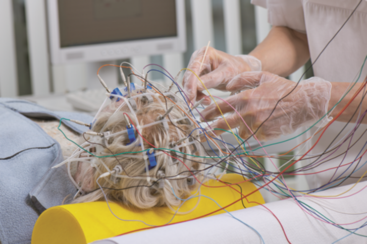 Schwerpunkte und Besonderheiten in Bad Berleburg