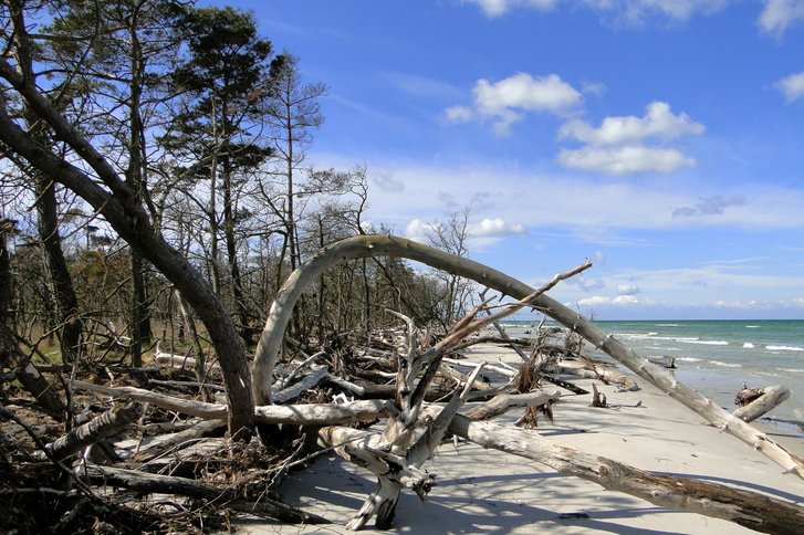 Tipps für Ihre therapiefreie Zeit