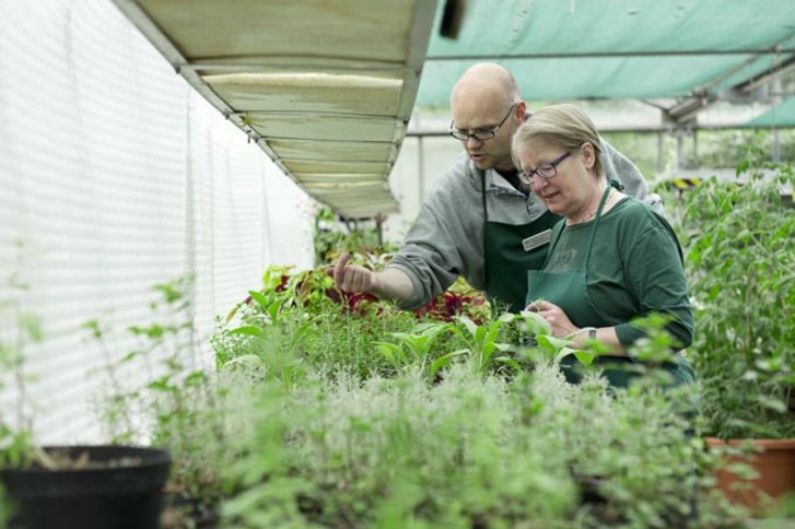 Ergotherapeut (m/w/d) in der neurologischen Rehabilitation