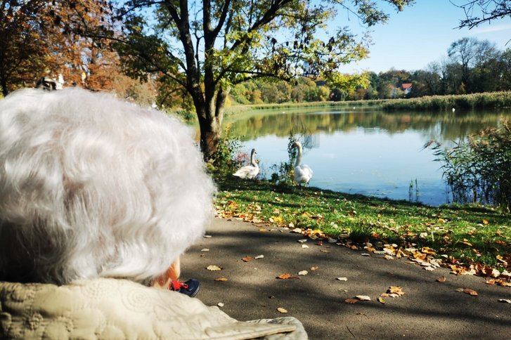 Mitten in der Stadt - und schnell in der Natur