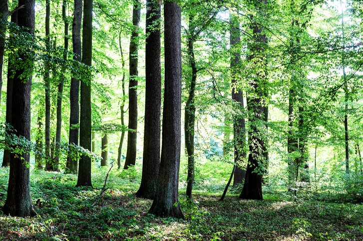 Tipps für die therapiefreie Zeit