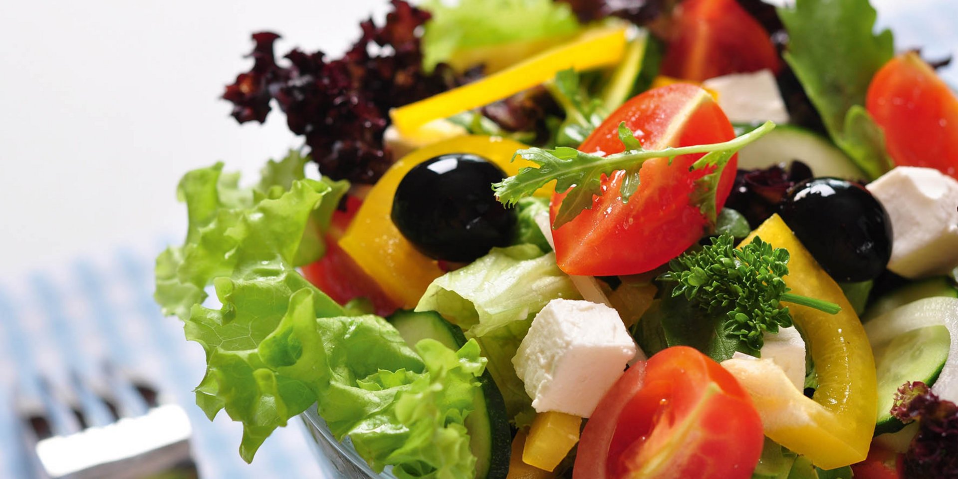 Die Deutsche Gesellschaft für Ernährung zeichnet die VAMED Klinik Hattingen aus