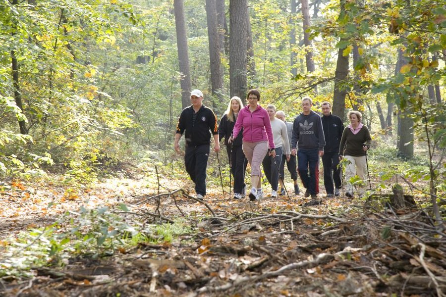 Jugendliche walken im Wald