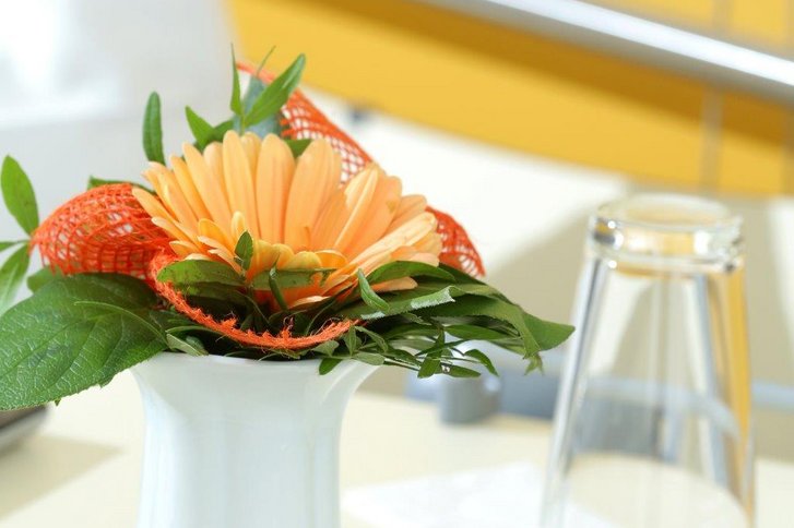 Besucher-Informationen