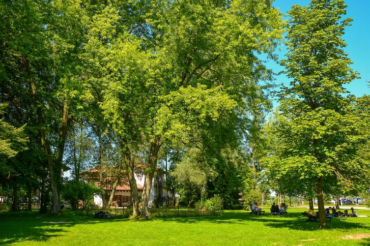 Unsere Therapieangebote