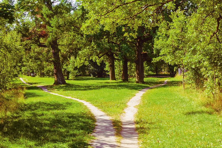 Ein Feldweg gabelt sich.