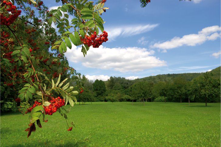 Die Klinik liegt mitten im Naturpark Altmühltal