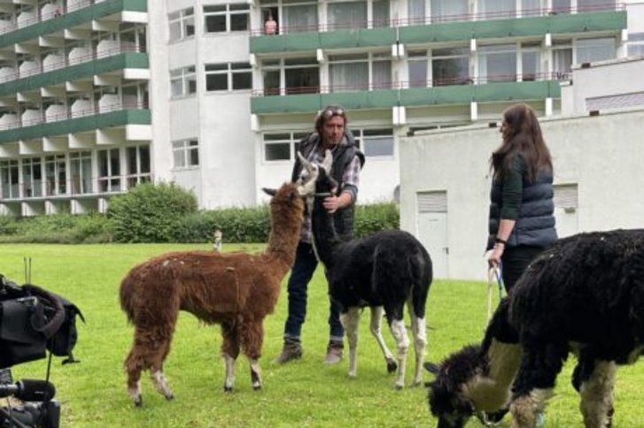 Tiergestützte Therapie – heilsame Begegnung mit Tieren