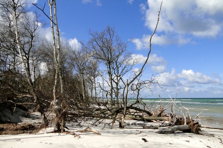 Vielfältige Freizeitangebote in der VITREA Rehaklinik Ahrenshoop